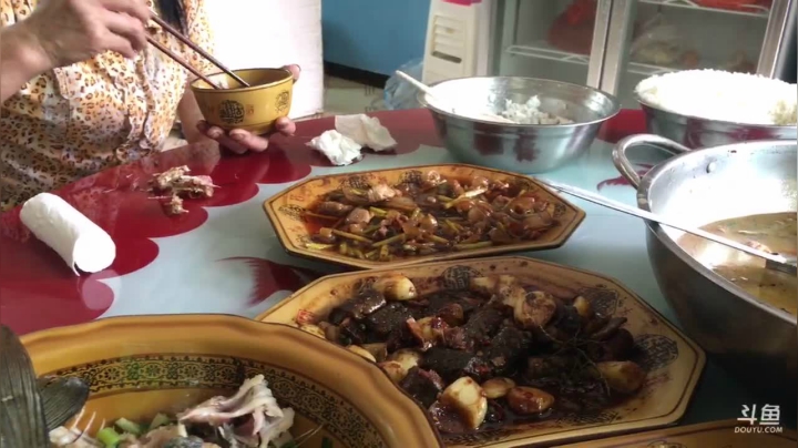 【2021-05-28 12点场】叶子户外：想念当家的第一天