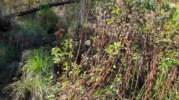 【2021-05-29 16点场】叶子户外：腾冲火山群