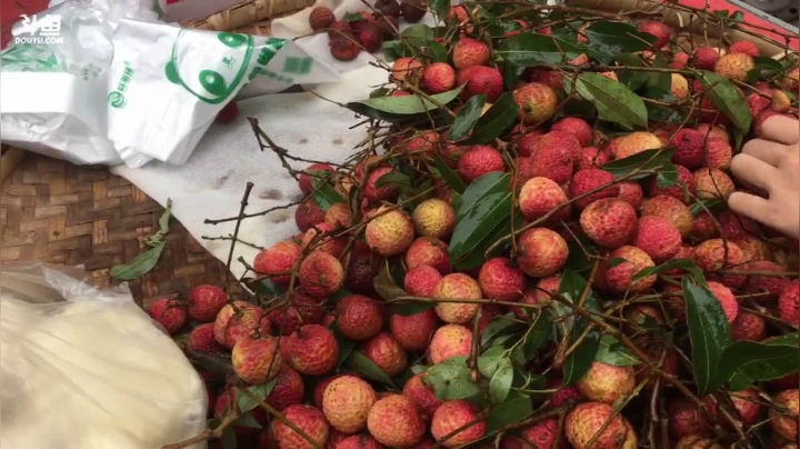 【2021-05-29 08点场】叶子户外：赶早集买大鹅