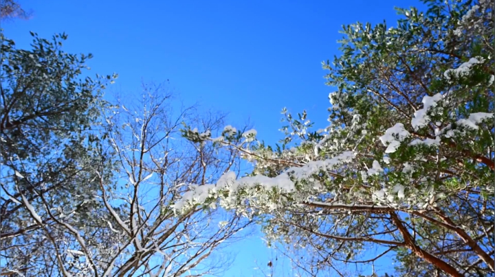 游历地球，流浪美食 03【达成成就：雪地咖啡】 (1)