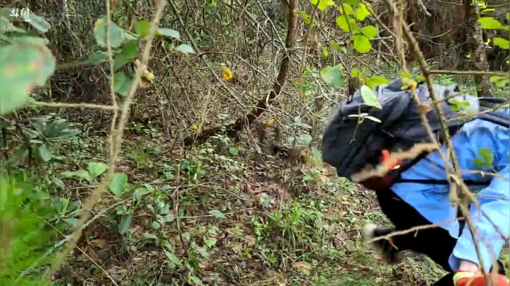 【2021-05-29 18点场】叶子户外：腾冲火山群