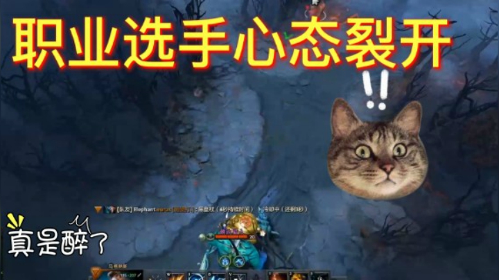 职业选手你个臭嗨