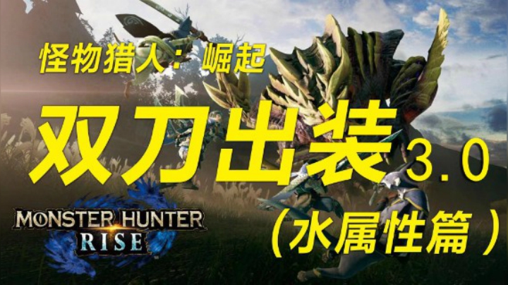 双刀3.0配装