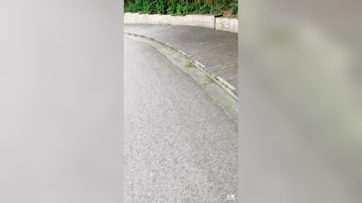 【2021-05-29 11点场】莫药师：冲鸭！！成都！！！