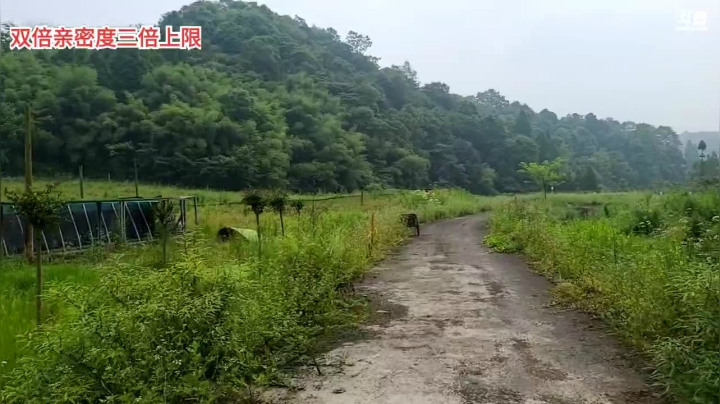 【2021-05-30 10点场】逐梦兄弟：十点不见不散