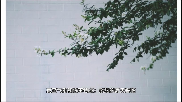 夏至：炎热夏天来临，准备防洪抗旱