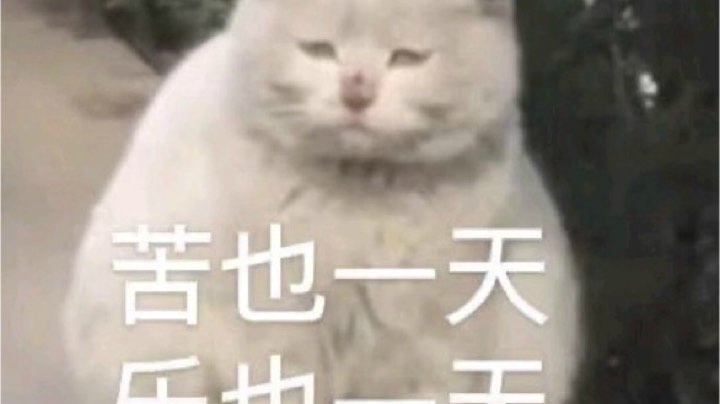 录像