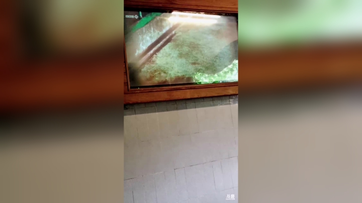 【2021-05-29 09点场】莫药师：冲鸭！！成都！！！