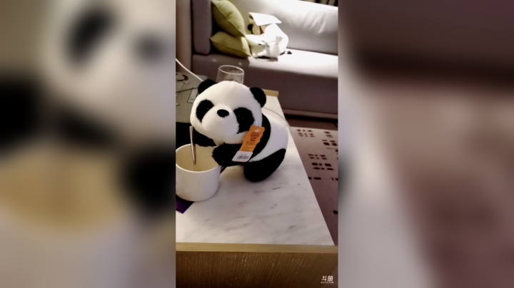 【2021-05-29 19点场】莫药师：冲鸭！！成都！！！