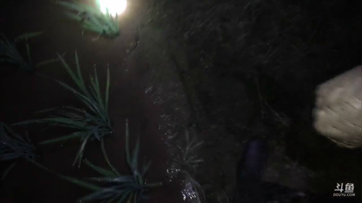 【2021-05-30 22点场】叶子户外：干饭人干饭魂 244548