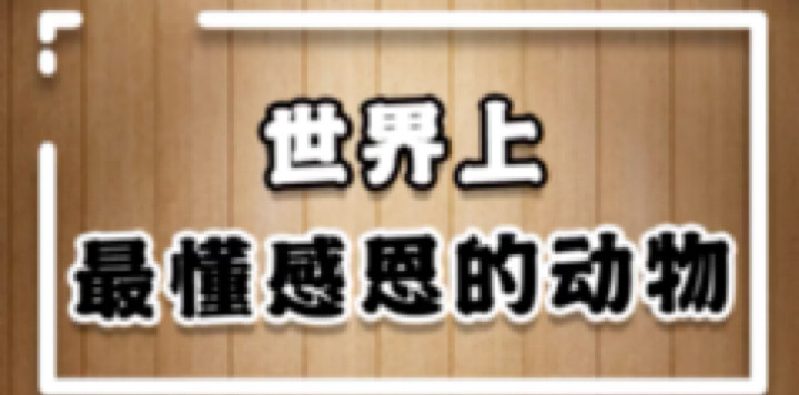 昱老湿丷发布了一个斗鱼视频2021-05-31