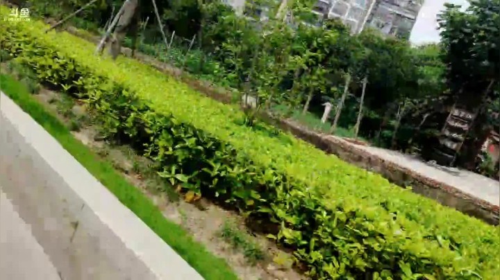 【2021-05-30 15点场】无聊透顶的周扒皮：荆门workday6881241