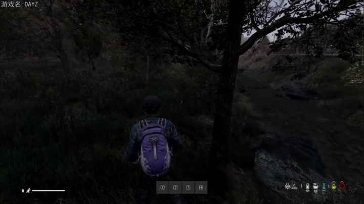 【巴格拉斯 Dayz】2021-05-31 20:28:25-2021-05-31 20:43:26