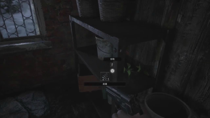 小玩一会儿生化8