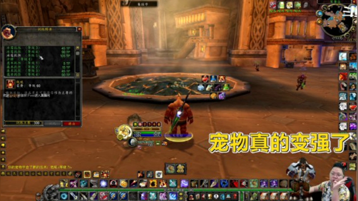 魔兽TBC怀旧服：宠物技能学哪些？按着这个思路来，准没错！