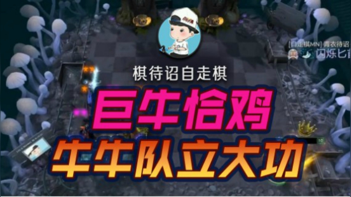牛牛队立大功！