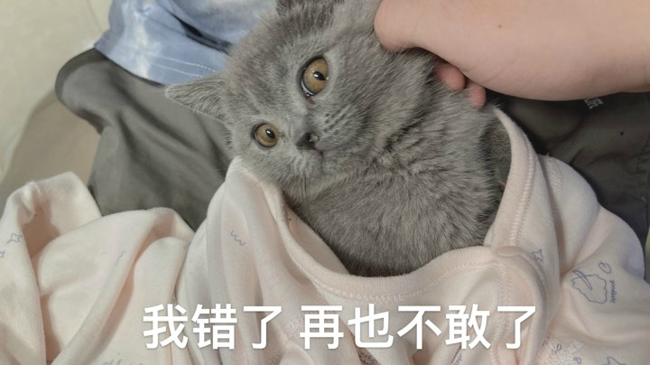 荣耀直通车&amp;四妹局