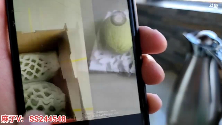 【2021-05-31 18点场】叶子户外：双倍经验三倍上限！冲冲冲