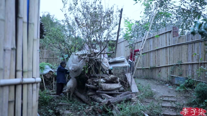 【美食】李子柒liziqi的精彩时刻 20210531 09点场