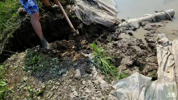 【2021-06-01 16点场】逐梦兄弟：十点不见不散