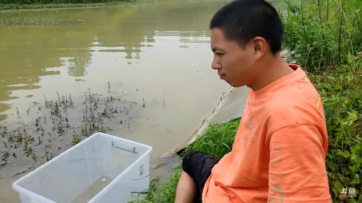 【2021-06-01 12点场】逐梦兄弟：十点不见不散