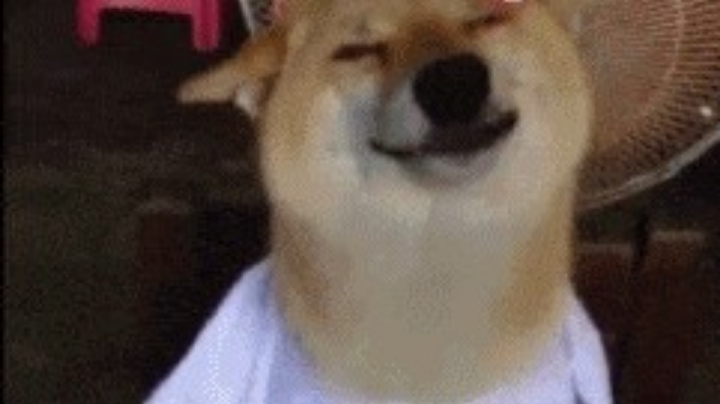 妞妞