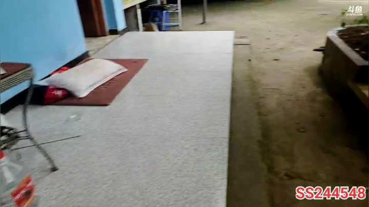 【2021-06-01 11点场】叶子户外：《鸡存者》Day1规则看鱼吧