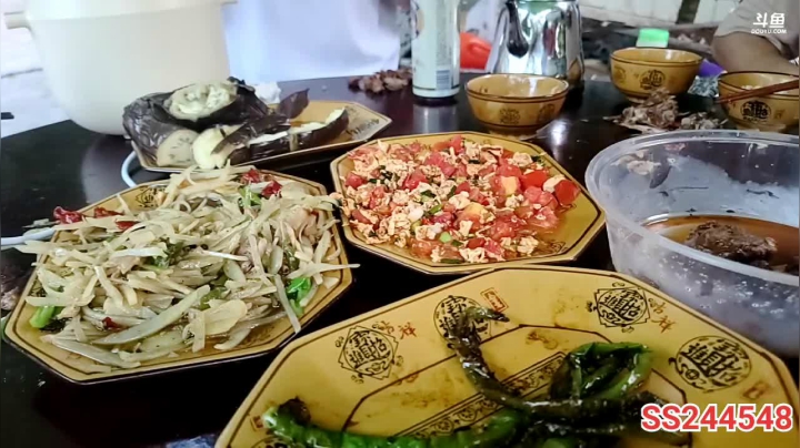 【2021-06-01 19点场】叶子户外：《鸡存者》Day1规则看鱼吧