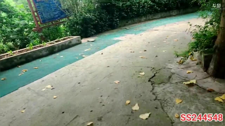 【2021-06-01 13点场】叶子户外：《鸡存者》Day1规则看鱼吧