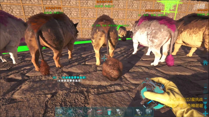 【2021-06-01 14点场】fairy小泡沫：99ARK—萌新小泡沫