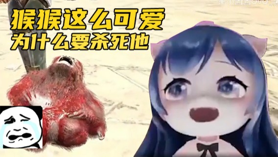 【一条小团团】终极套娃！看猴下猴，猴没了？猴？？？