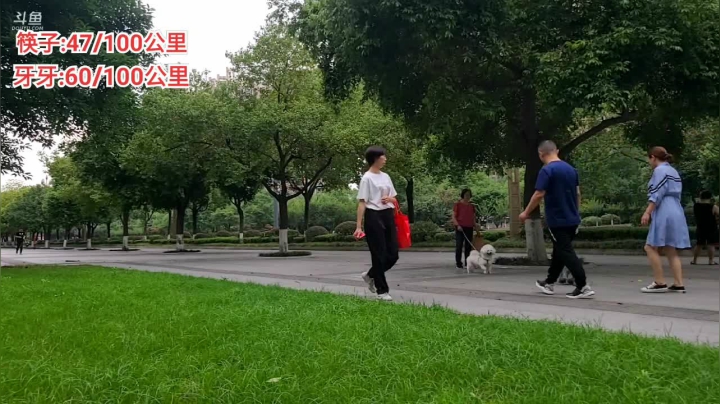 【2021-06-02 17点场】逐梦兄弟：跑长途，坚持就是胜利！加油！