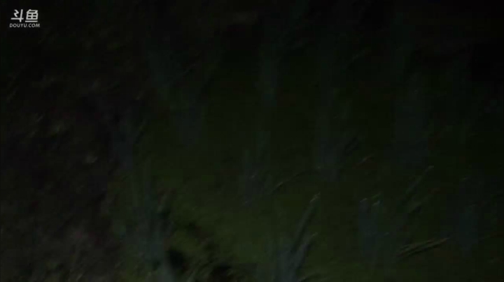 【2021-06-01 21点场】叶子户外：《鸡存者》Day1规则看鱼吧