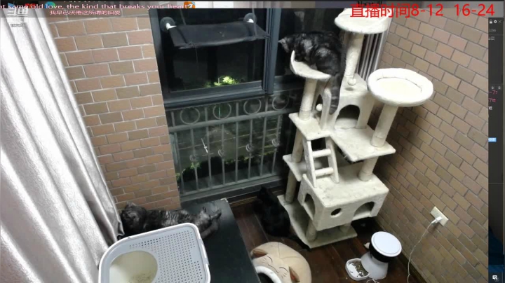 【2021-05-31 22点场】大户呀：怒冲第一啊