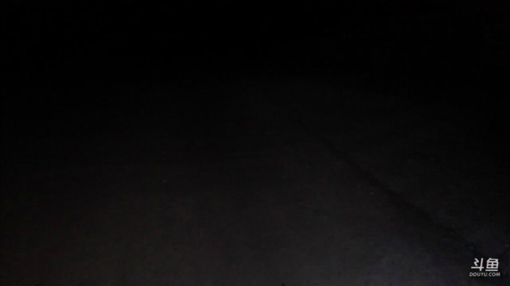 【2021-06-01 23点场】叶子户外：《鸡存者》Day1规则看鱼吧