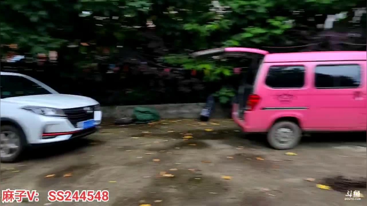 【2021-06-03 08点场】叶子户外：《鸡存者》Day2规则看鱼吧