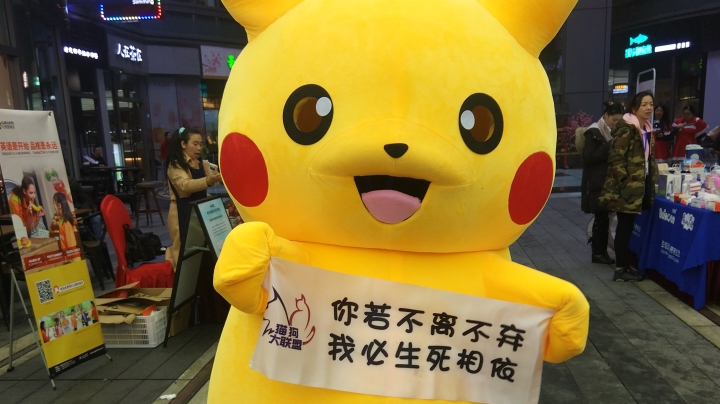 儿童节猫狗大联盟领养活动