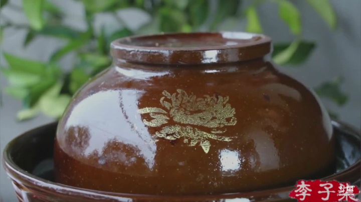 【美食】李子柒liziqi的精彩时刻 20210604 10点场