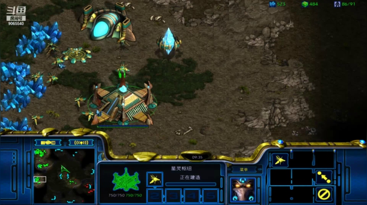 【星际争霸】慢手神族的pvt