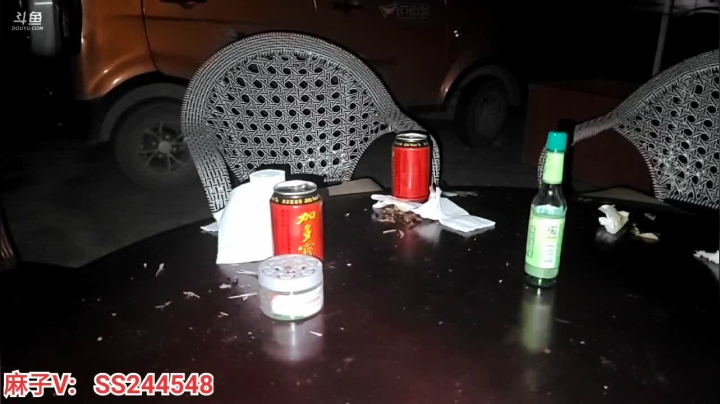 【2021-06-03 22点场】叶子户外：《鸡存者》Day3规则看鱼吧