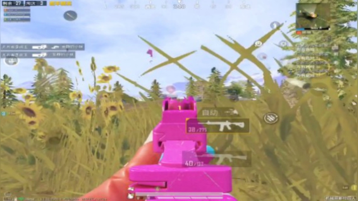 和平精英：山谷钢枪8淘汰吃鸡