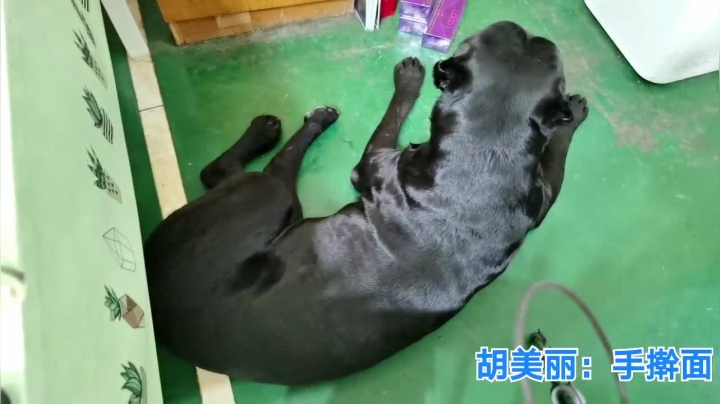 【2021-06-04 22点场】无尽无尽的无尽：吃吃喝喝每一天