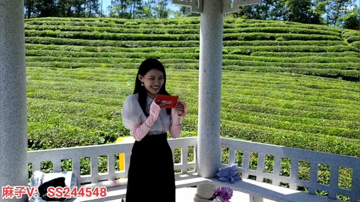 【2021-06-05 10点场】叶子户外：芒种采茶挑战@保康县店垭镇