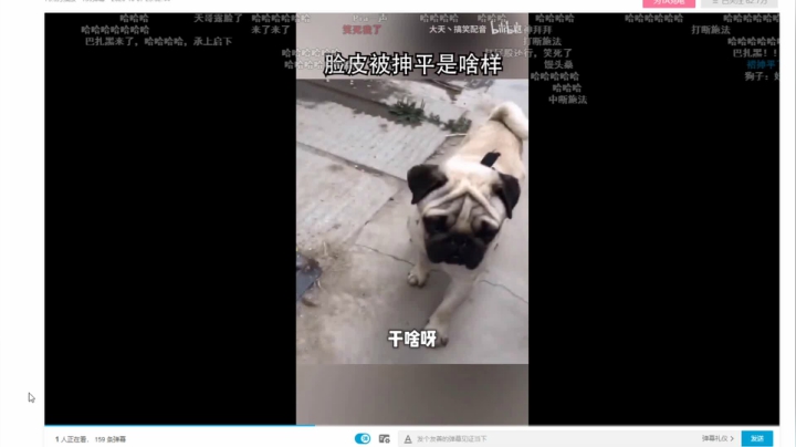 【2021-06-03 20点场】豪哥哥9999：保持初心 8874517
