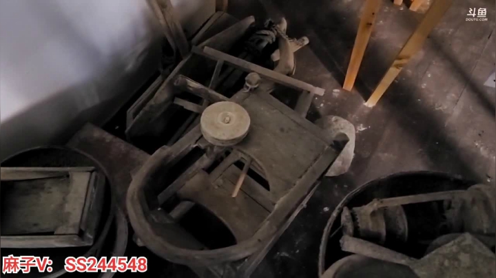 【2021-06-05 16点场】叶子户外：芒种采茶挑战@保康县店垭镇