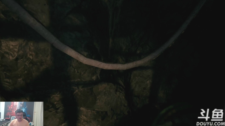 我在斗鱼看异灵术老师直播炉石传说