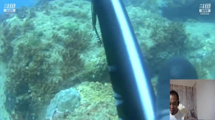 【2021-06-04 21点场】海道丶：上鱼了 上鱼啦！
