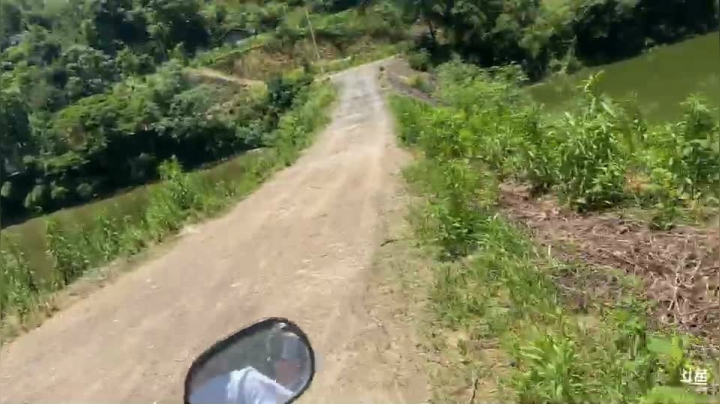 【2021-06-06 12点场】魅力生活i：今天甲鱼钓