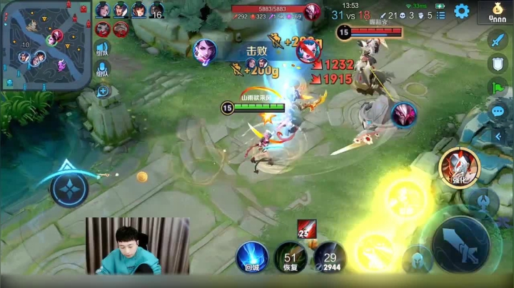 3.19 菊花