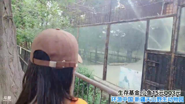 【2021-06-03 18点场】行者记行：新疆野生动物园到了！